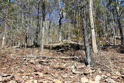 tbd Bear Mountain Rd, Prim, AR 72130 photo 13