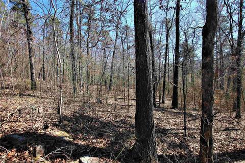 tbd Bear Mountain Rd, Prim, AR 72130 photo 28