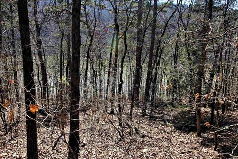tbd Bear Mountain Rd, Prim, AR 72130 photo 8