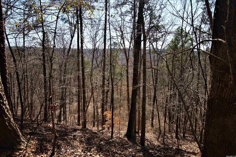 tbd Bear Mountain Rd, Prim, AR 72130 photo 26