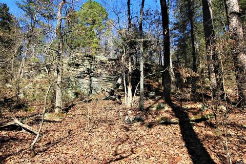 tbd Bear Mountain Rd, Prim, AR 72130 photo 16