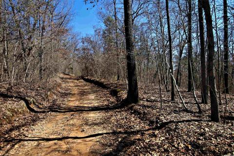 tbd Bear Mountain Rd, Prim, AR 72130 photo 6