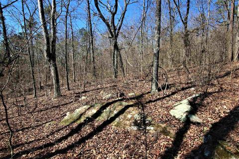 tbd Bear Mountain Rd, Prim, AR 72130 photo 29