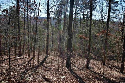 tbd Bear Mountain Rd, Prim, AR 72130 photo 7