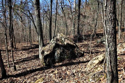 tbd Bear Mountain Rd, Prim, AR 72130 photo 27