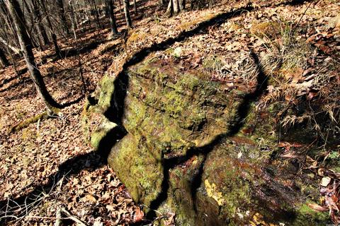 tbd Bear Mountain Rd, Prim, AR 72130 photo 24