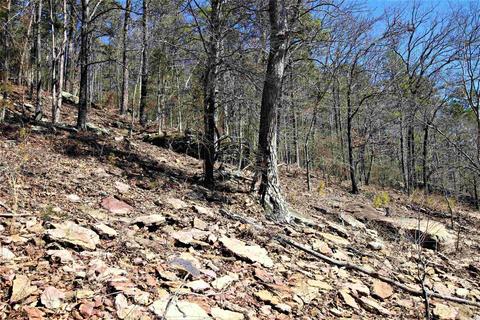 tbd Bear Mountain Rd, Prim, AR 72130 photo 14