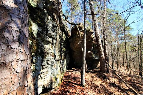 tbd Bear Mountain Rd, Prim, AR 72130 photo 20