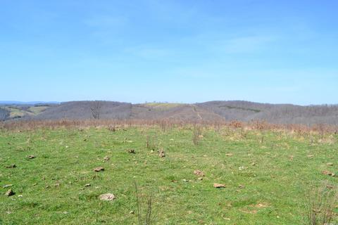 704 Landis Hl, Marshall, AR 72650 photo 10