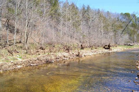 704 Landis Hl, Marshall, AR 72650 photo 14