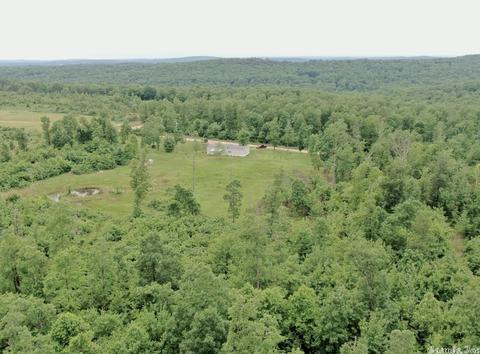 1265 Petters Rd, Mountain View, AR 72560 photo 28