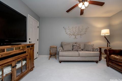 9013 Naples Cv, Benton, AR 72019 photo 37