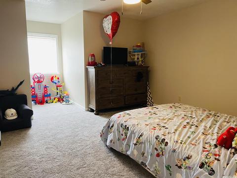 379 Allen St, Melbourne, AR 72556 photo 28