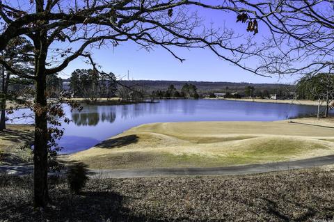 20 Lakeside Dr, Cabot, AR 72023 photo 8