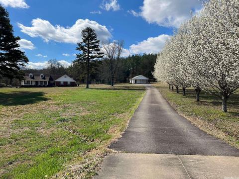 30 Hillside Cv, Greenbrier, AR 72058 photo 3