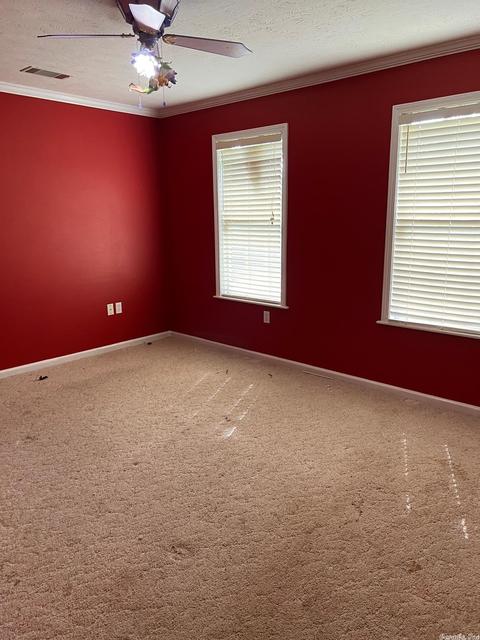 30 Hillside Cv, Greenbrier, AR 72058 photo 20