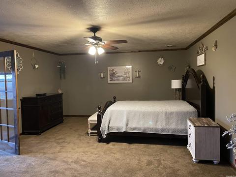 5384 Highway 139, Rector, AR 72461 photo 10