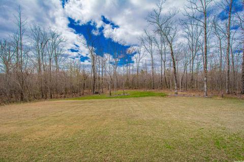 6049 Kamden Cv, Alexander, AR 72002 photo 48