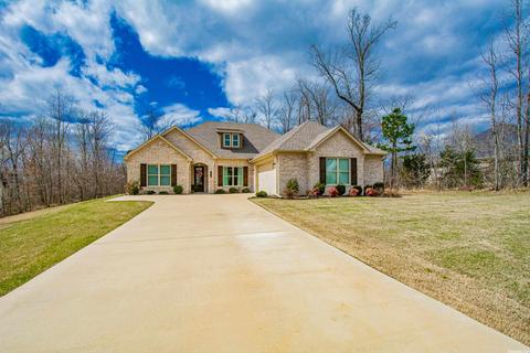 6049 Kamden Cv, Alexander, AR 72002 photo 1