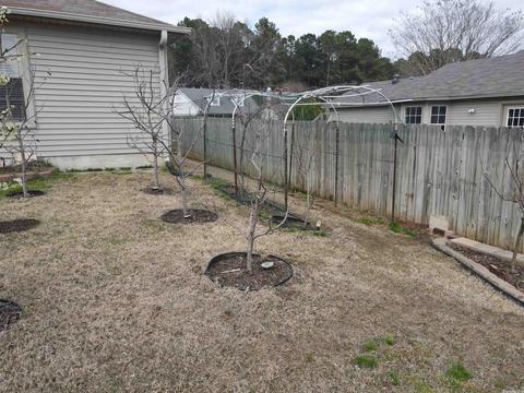 817 Fox Ridge Dr, Benton, AR 72019 photo 29