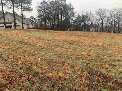 100 Grayson Cv, Searcy, AR 72143 photo 1
