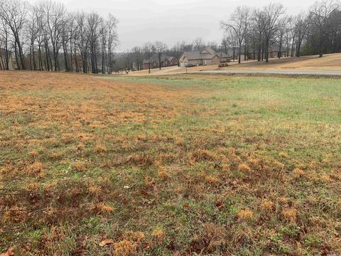 100 Grayson Cv, Searcy, AR 72143 photo 2