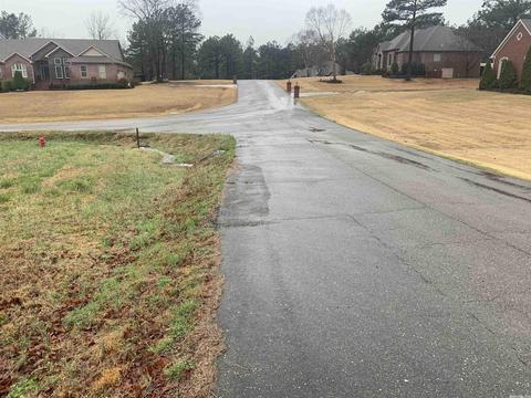 100 Grayson Cv, Searcy, AR 72143 photo 3