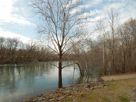 103 Potts Ln, Pangburn, AR 72121 photo 29