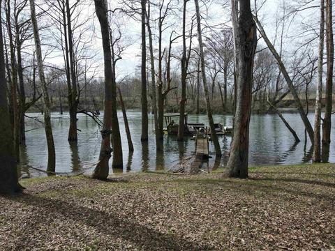 103 Potts Ln, Pangburn, AR 72121 photo 24