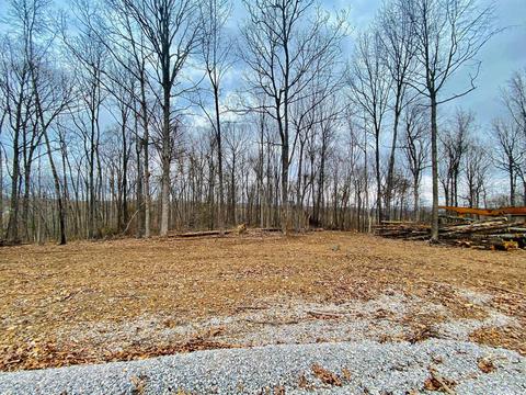 12192 Herpel Rd, Mountain View, AR 72560 photo 6