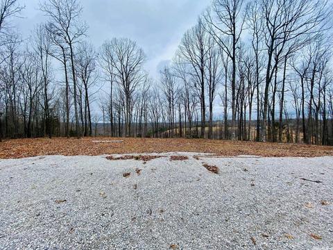 12192 Herpel Rd, Mountain View, AR 72560 photo 3