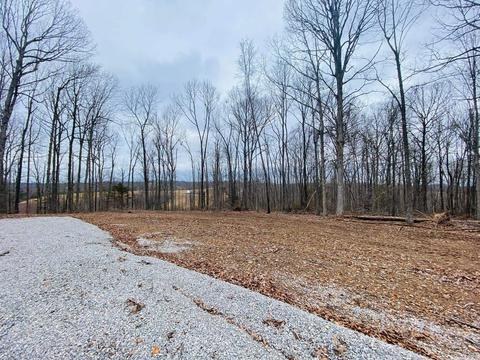 12192 Herpel Rd, Mountain View, AR 72560 photo 5