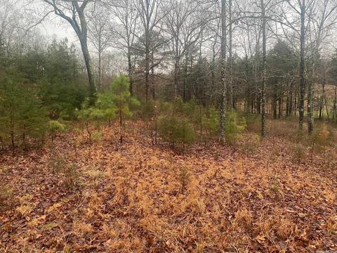 54 Lost Vly, Greenbrier, AR 72058 photo 2