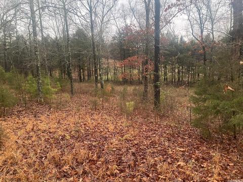 54 Lost Vly, Greenbrier, AR 72058 photo 1