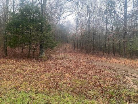 54 Lost Vly, Greenbrier, AR 72058 photo 5
