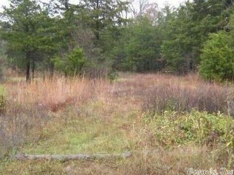157 Wildcat Loop, Searcy, AR 72143 photo 1