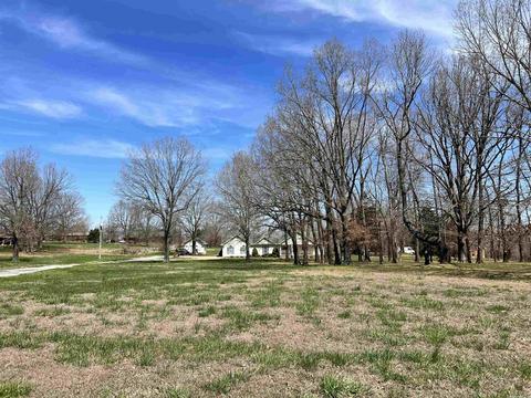 56 Watson Ln, Ash Flat, AR 72513 photo 38