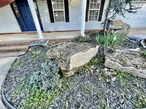 201 Mountain View St, Bismarck, AR 71929 photo 2