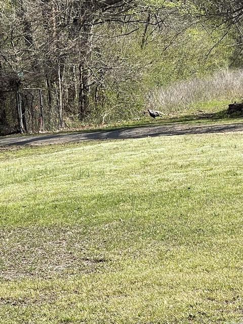 196 Matheny Ln, Beebe, AR 72012 photo 27