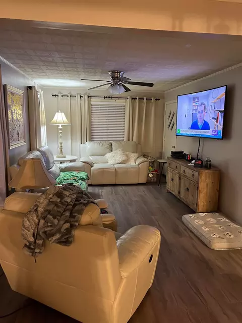 316 Ellis Ave, Trumann, AR 72472 photo 7