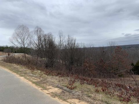 180 N N Hts, Cabot, AR 72023 photo 9