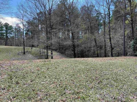 2943 Grant 192, Grapevine, AR 72057 photo 38