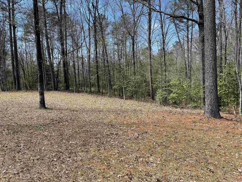 2943 Grant 192, Grapevine, AR 72057 photo 36