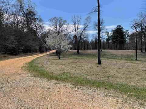 2943 Grant 192, Grapevine, AR 72057 photo 41