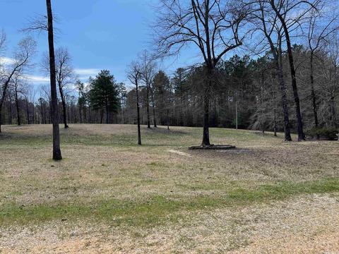 2943 Grant 192, Grapevine, AR 72057 photo 40