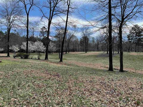 2943 Grant 192, Grapevine, AR 72057 photo 39
