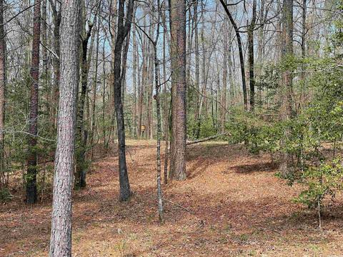 2943 Grant 192, Grapevine, AR 72057 photo 34