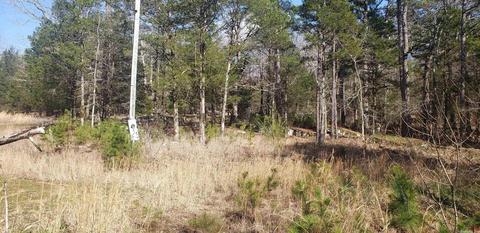 16 Brimer Ln, Greers Ferry, AR 72067 photo 15