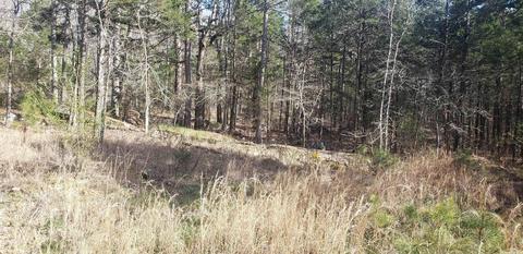 16 Brimer Ln, Greers Ferry, AR 72067 photo 10