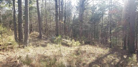 16 Brimer Ln, Greers Ferry, AR 72067 photo 8